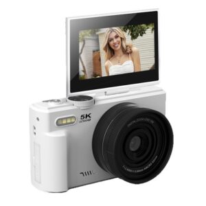 CCD digital cameras